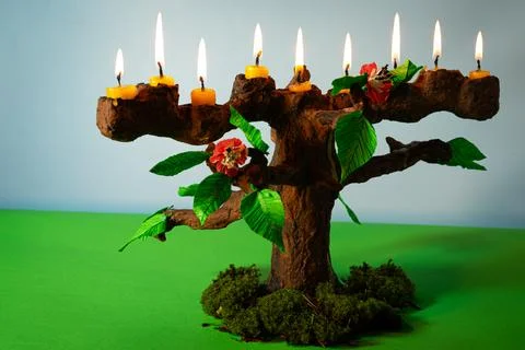 Tree of life Stock Photos