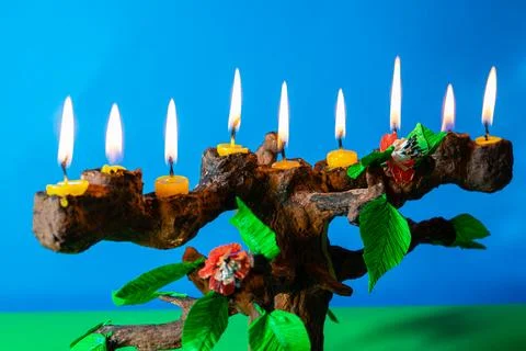 Tree of life Stock Photos