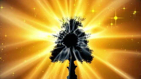 Tree of life silhouette with glow effect Video stock 199749784