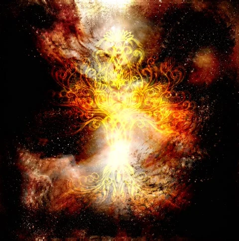 Tree of life symbol on structured and space background, flower of life pattern Stock Footage 156189993