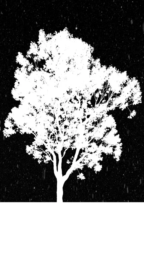 Tree of life in winter, Silhouette vertical video Stock Footage 340454818