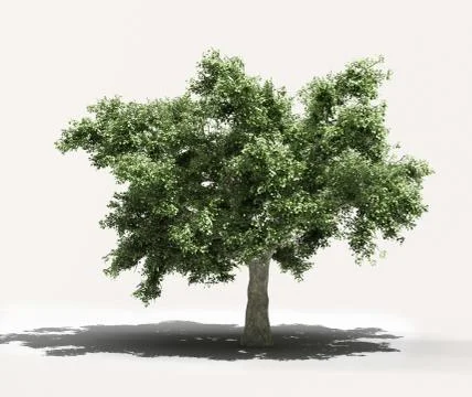 Tree on a light background Stock Illustration