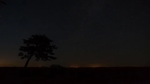The tree in the light of car headlights on a background of the starry sky. Stock Footage 71208418