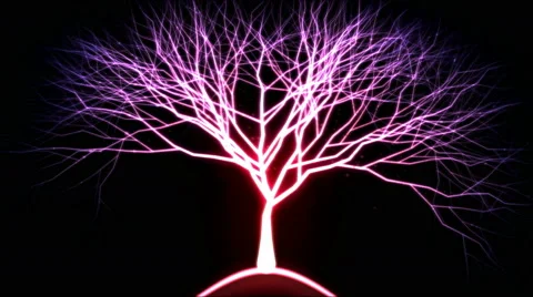 Tree of Light Particles - Pink Stock Footage 46485111
