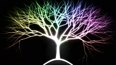 Tree of Light Particles - Rainbow 库存影片 46500436