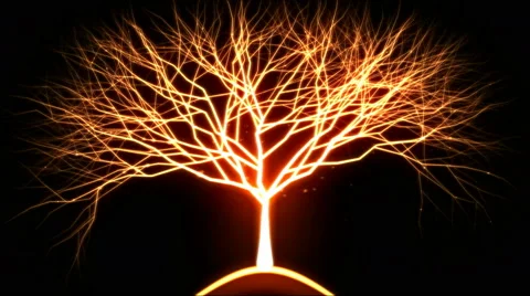 Tree of Light Particles - Red 库存影片 46475311