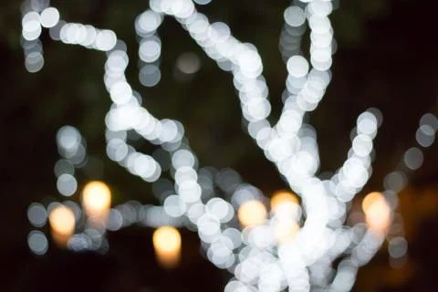 Tree light Stock Photos