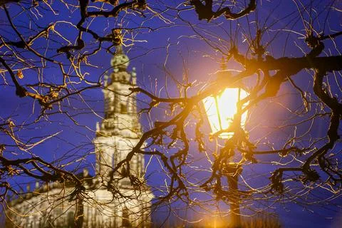 A tree with a light shining on it and a building of Dresden Court Church in.. Stock Photos