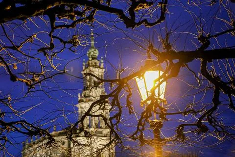 A tree with a light shining on it and a building of Dresden Court Church in.. Stock Photos