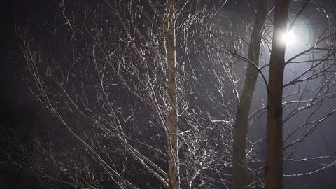 Tree in light of the street lamp in forest near a big factory in the small city Stock Footage 103234723