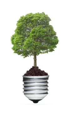 Tree in a lightbulb, green energy concept Stock Illustration