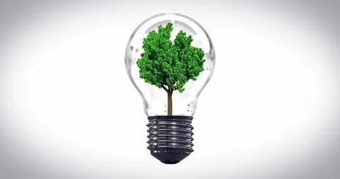 Tree in the lightbulb, looping animation Stock Footage 89160485