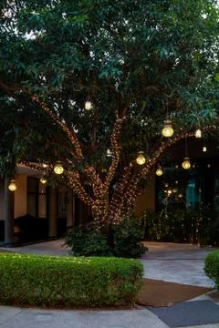 Tree lighting with led strings and lanterns Stock Photos