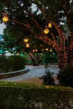 Tree lighting with led strings and lantern lighting Stock Photos