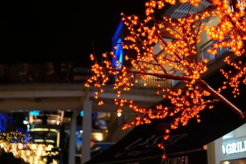 Tree with lighting Foto stock