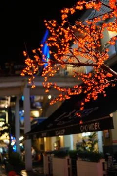 Tree with lighting Foto stock