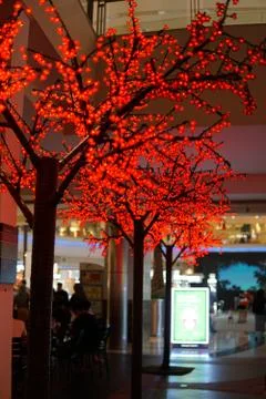 Tree with lighting Stock Photos