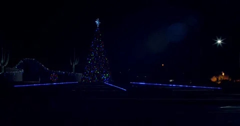 Tree lights Stock Footage 167243035