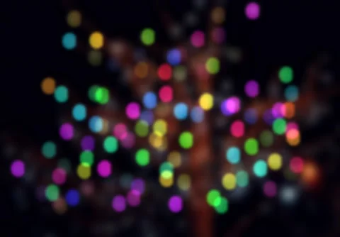 Tree Lights Stock Footage 176914651