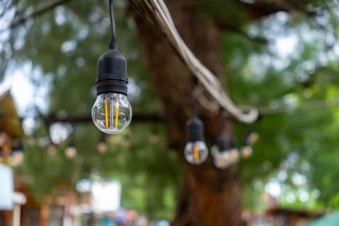 Tree with lights hanging from it Foto stock