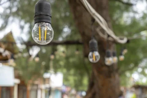 Tree with lights hanging from it Stock-Fotos