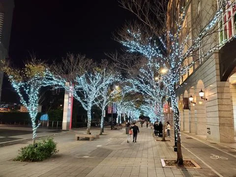 Tree Lights Stock Photos