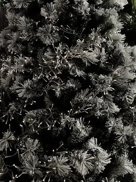 Tree with lights Stock Photos