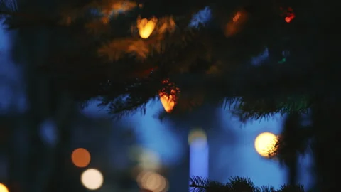 Tree Lights in Winter Focus Bokeh Stock Footage 313380409