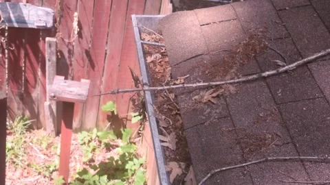 Tree limbs and leaves along with other foliage falling on shingles of roof Video stock 335410345