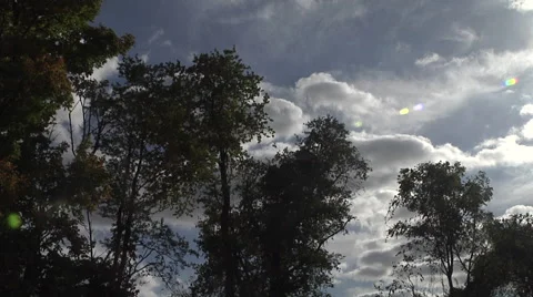Tree line and Clouds 2 Wide Video stock 56019731