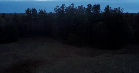 Tree Line Backwards Pan Down into Woods Видео 107409513