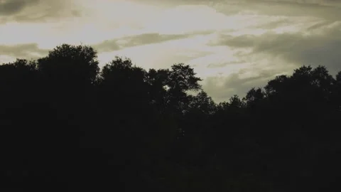 Tree Line Cloudy Sunset Stock Footage