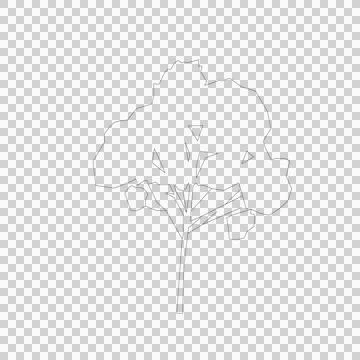 Tree line drawing, Side view, Stock-Illustration