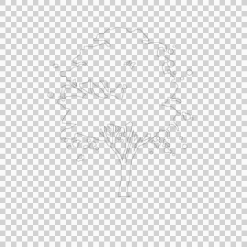 Tree line drawing, Side view, Stock Illustration