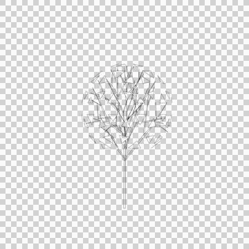 Tree line drawing, Side view, Stock Illustration