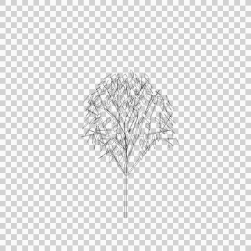 Tree line drawing, Side view, Stock-Illustration