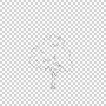 Tree line drawing, Side view, Stock Illustration