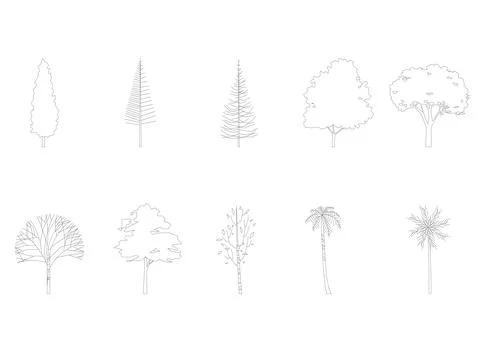 Tree line drawing, Side view. Stock Illustration