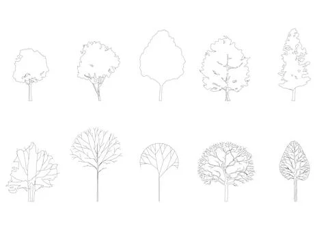 Tree line drawing, Side view. Stock Illustration