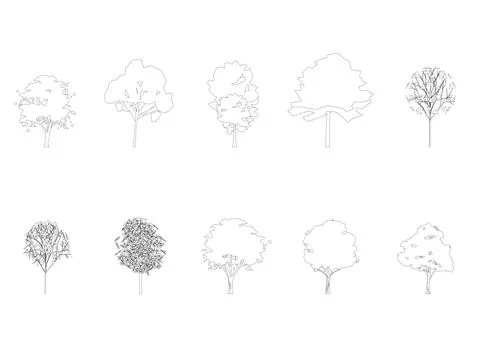 Tree line drawing, Side view. Stock Illustration