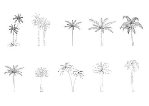 Tree line drawing side view graphics Stock Illustration