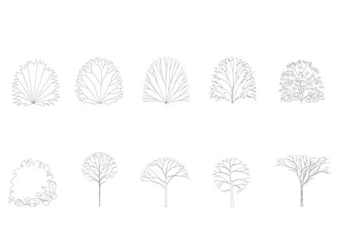 Tree line drawing side view graphics Stock-Illustration