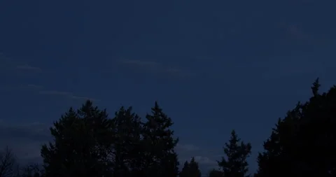 Tree Line at Night with Clouds Stock Footage 136199816
