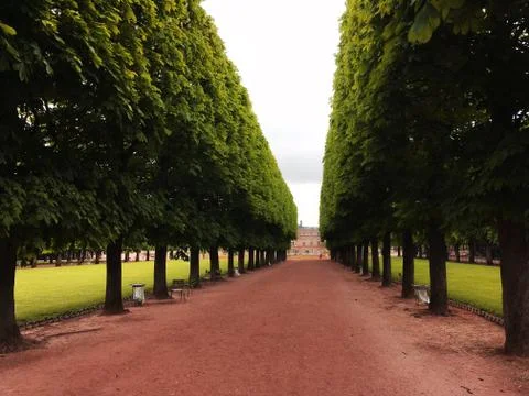 Tree Line Stock Photos