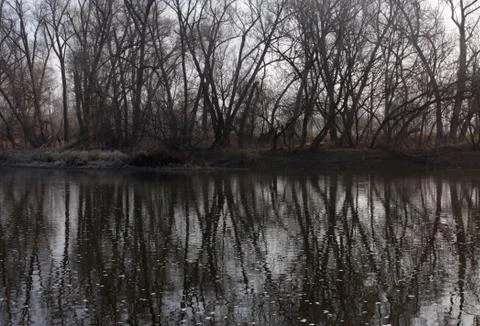 Tree line river reflection Stock Photos