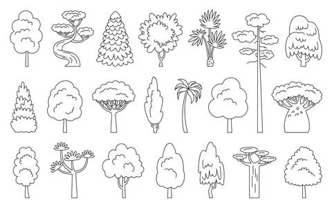 Tree line set coloring book eco plant side view Stock Illustration