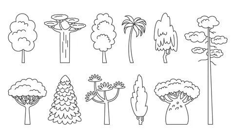 Tree line set coloring book exotic plant forest Stock Illustration