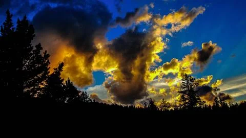 Tree Line Sunset Stock Photos