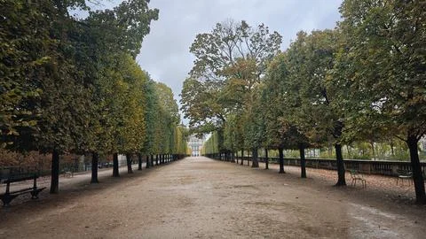 Tree-lined autumn pathway in Paris park, France Stock Photos