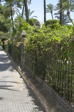 Tree lined avenue beside Parque Genoves, Cadiz, Spain Stock Photos